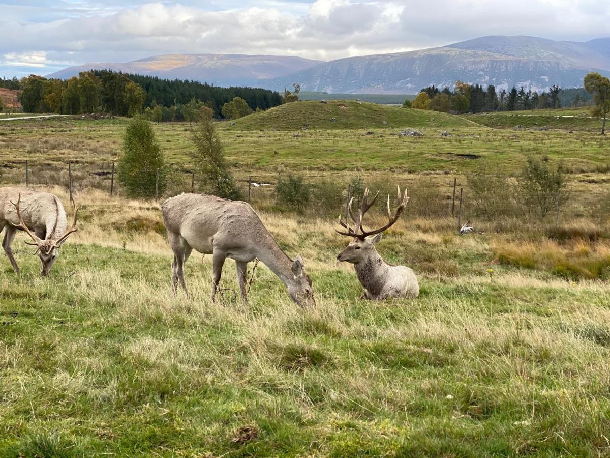 Grantown-on-Spey Ardenbeg酒店 外观 照片